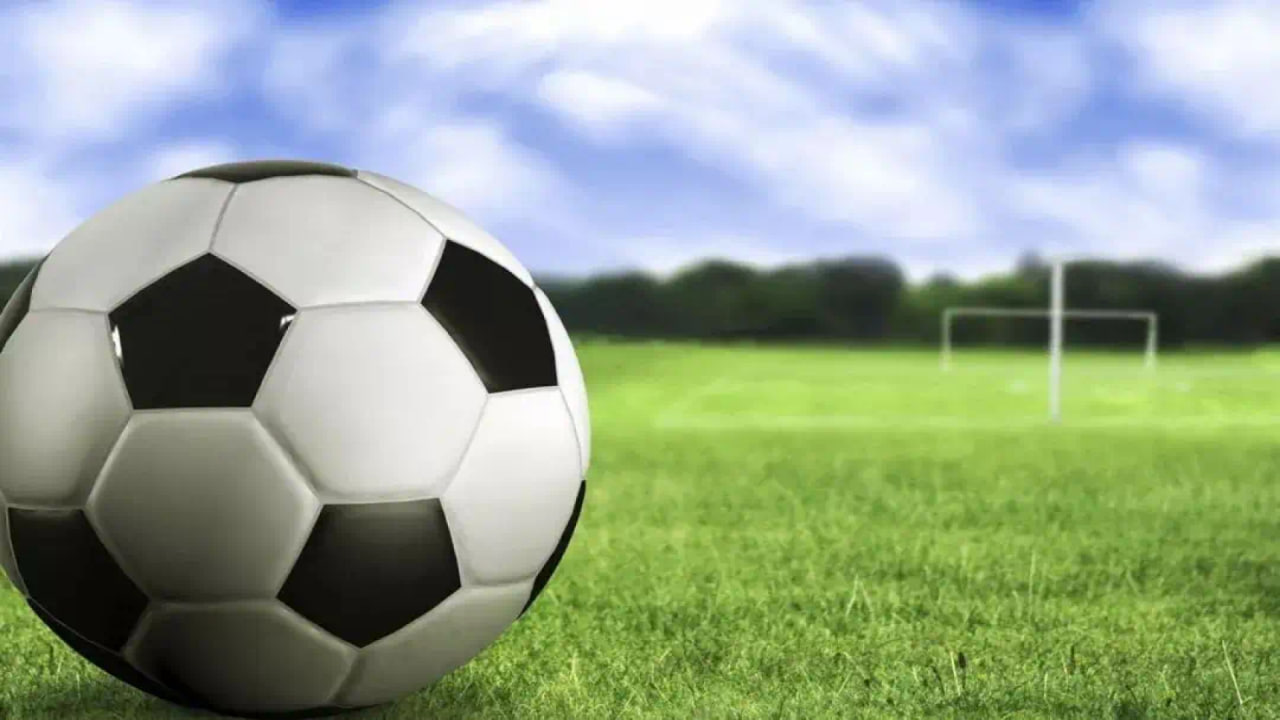 数据准确性展示